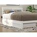 AFI Furnishings Trundle Unit Wood/Solid Wood in Brown | 10.25 H x 38 W in | Wayfair AG8005222