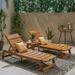 Mahi Outdoor 3 Piece Acacia Wood Chaise Lounge Set by Christopher Knight Home