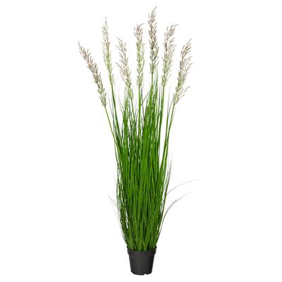 4.5' Plum Grass Artificial Plant - 6