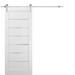 Sliding Barn Door Stainless Steel 6.6ft Hardware / Quadro 4117 White Silk Frosted Opaque Glass