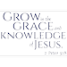 2 Peter 3:18 - Grow in the grace and knowledge... Vinyl Decal Sticker Quote - Medium - Steel Blue