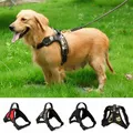 Laisse réglable en nylon sans côtes pour chien accessoire pour grand chien moyen et petit gabarit