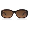 Bianca Sunglasses 56 Glitter Tortoise