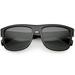 Retro Square Horn Rimmed Sunglasses Neutral And Colored Mirror Lens 55mm (Shiny Black / Smoke)