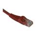 TRIPP LITE N201-020-RD 20 ft. Cat 6 Red Network Cable