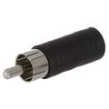 Cmple - RCA Plug to 3.5mm Stereo Jack Adapter
