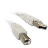 10ft USB Cable for: Epson Stylus NX420 Color Ink Jet All-in-One - White / Beige