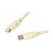 StarTech.com USBEXTAA_6 Beige USB 2.0 Extension Cable A to A - M/F