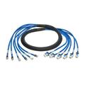 Tripp Lite N261-010-6MF-BL Cat 6 & 6A Copper Bundle Patch