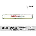 MemoryMasters Samsung 16GB DDR3L 1600MHz PC3-12800 Registered ECC 1.35V CL11 2Rx4 Dual Rank 240 Pin RDIMM Server Memory RAM Module Upgrade (16GB)