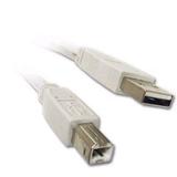 3ft USB Cable for Brother MFC-9130CW Digital Color All-in-One with Wireless Networking Printer/Copier/Scanner/Fax Machine