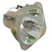 Optoma EP7199 Multimedia Video Projector Bulb - Philips OEM Bare Bulb