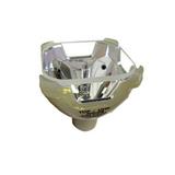 Infocus LP250 Multimedia Video Projector Quality Original Projector Bulb