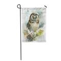 KDAGR Painting Watercolor Bird Winter Owl Nature Wildlife Branches Snow Artistic Cute Garden Flag Decorative Flag House Banner 12x18 inch