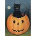 Toland Home Garden Hollow Cat Fall Halloween Flag Double Sided 28x40 Inch