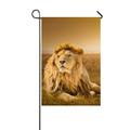 PKQWTM Big Male Lion Lying Grass Yard Decor Home Garden Flag Size 12x18 Inches