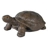 Sunnydaze Reinforced Concrete Talia the Tortoise Indoor/Outdoor Statue - 29