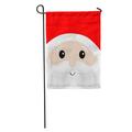 LADDKE Santa Claus Big Head Face Beard Moustaches White Eyebrows Red Garden Flag Decorative Flag House Banner 28x40 inch