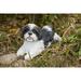 Hi-Line Gift Ltd. Shih Tzu Dog Statue