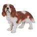 Hi-Line Gifts 16.25 Brown and White King Charles Spaniel Standing Statue