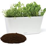 Aquaphoric Herb Garden Tub - Self Watering Planter Box With 6 Quarts Fiber Soil - White