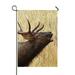 ECZJNT Bull Elk Stag Bugling Calling Rocky Mountain Cervus Canadensis Garden Flag Outdoor Flag Home Party Garden Decor 28x40 Inch
