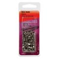 Hillman 122531 Wire Nail 7/8 in L Steel Stainless Steel Flat Head Smooth Shank Silver 2 oz