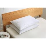 St. James Home Balance Pillow (Set of 2) - White