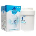 Replacement General Electric PSS29NHMCBB Refrigerator Water Filter - Compatible General Electric MWF MWFP Fridge Water Filter Cartridge - Denali Pure Brand