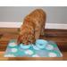 Drymate Pet Bowl Placemat, Feeding Mat For Dog & Cat - Thin, Absorbent, Waterproof, Machine Washable (affordable option) in Blue | Wayfair