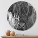 East Urban Home Scottish Highland Cows Living On Moorland - Farmhouse Metal Circle Wall Art Metal in Gray | 11 H x 11 W x 1 D in | Wayfair