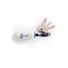 BiggDesign Anemoss Unsinkable Keychain, USB chargable, Unsinkable, Ring Radius Of 2 cm, 6-7 Keys,