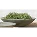 Latitude Run® Low Zen Bowl Cast Stone Pot Planter Concrete, Copper in Brown | 6 H x 23 W x 23 D in | Wayfair LTTN1295 43897150