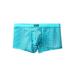 CVLIFE Men's Sexy Mesh Underwear Boxer Shorts Low Waist See-Through Sheer Swim Trunks Swimwear