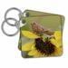 3dRose Little Snack, Grasshopper on a Sunflower - Key Chains, 2.25 by 2.25-inch, set of 2