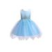 Rain Kids Sky Blue Floral Applique Tulle Flower Girl Dress Girls