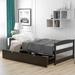 Red Barrel Studio® Wooden Daybed Modern Style Twin Size w/ Trundle, For Bedroom(Espresso) Wood in Brown | Wayfair 47F48745814445C3865E737473F37E9E