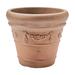 Winston Porter Amayia Resin Pot Planter Plastic in Brown | 15.75 H x 18 W x 18 D in | Wayfair 14FB65C6A9E44D10B00F18EE41116E21