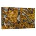 East Urban Home Honey Bee Colony & Queen on Honeycomb - Photograph Print Canvas in Gray/Yellow | 20 H x 30 W x 1.5 D in | Wayfair NNAI2998 39913841
