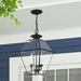 Alcott Hill® Boto Outdoor Hanging Lantern Brass/Glass/Metal in Black | 18.5 H x 12 W x 12 D in | Wayfair 00384E5A849F40C283ABBF3794DF682A