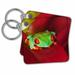 3dRose South America, Panama. Red eyed tree frog. - Key Chains, 2.25 by 2.25-inch, set of 2