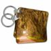 3dRose Moss draped trees along Laurel Hill Drive, Savannah NWR, Georgia - Key Chains, 2.25 by 2.25-inch, set of 2