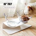 15Â°Tilted Platform Cat Feeders Food and Water Bowls Non-slip Cat Double Bowls Raised Stand Pet Food Water Bowl Cats Dog Feeder Reduce Neck Pain for Cats and Small Dogs by Stuffygreenus