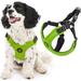 Gooby Escape Free Sport Harness - Lime Medium - Escape Free Step-in Harness with Neoprene Body for Small Dogs and Medium Dogs for Indoor and Outdoor use