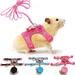 Visland Small Pet Outdoor Walking Harness Vest and Leash Set with Cute Bowknot Decor Chest Strap Harness for Rabbit Ferret Guinea Pig Bunny Hamster Puppy Kitten Clothes Accessory