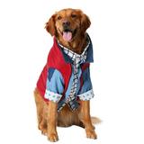 Marty McFly Dog Costume Back to the Future