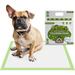 Pogi s Pet Supplies Large Earth-Friendly Puppy Training Pads 24 x 24 40 Count