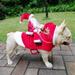 JANDEL Small Large Dogs Santa Cosplay Outfit For Christmas Carnival Pet Costumes Apparel Party Dressing Up Clothing