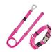 Pet Life Â® Advent Outdoor Series 3M Reflective 2-in-1 Durable Martingale Training Dog Leash and Collar