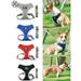 Luxtrada Pet Dog Harness Mesh Vest Dog Leash Dog Harnesses Chest Straps Belt Easy Control + Pet Harness Leash for Small Medium Large Dog (Black L)